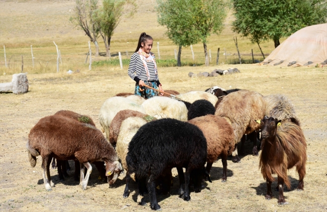 Altın madalya için Süphan Dağı eteklerinde antrenman yapıyor